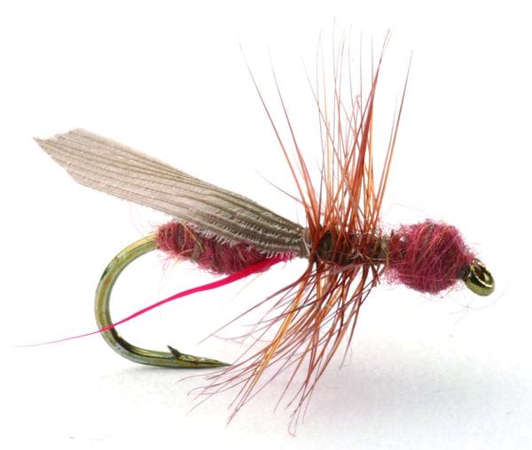 Umpqua Flies Flying Ant Umpqua Flies