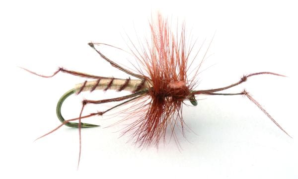 Umpqua Flies Daddy Long Legs #10 Kj�øp 12 Fluer Få Gratis Flueboks Red/white Umpqua Flies