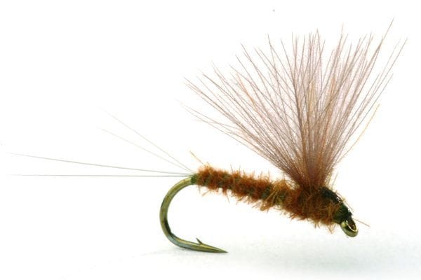 Umpqua Flies Rune'S Cdc No-Hackle Olive #14 Kvalitetsfluer Fra Kjente Leverandører Umpqua Flies