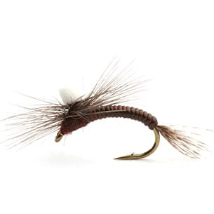 Umpqua Flies Leptoklekker Umpqua Flies