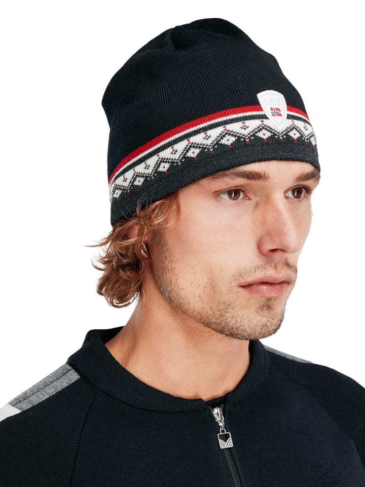 Dale of Norway Moritz Hat Dark Charcoal Raspberry Offwhite Dale of Norway