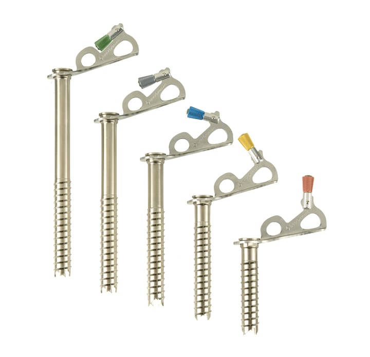 Black Diamond Express Ice Screw Nocolour Black Diamond