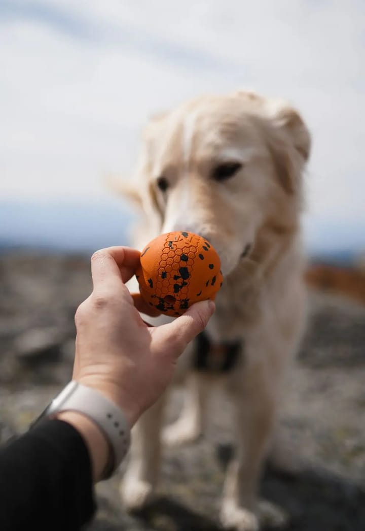 Non-stop Dogwear Dog Ball 70x70 Orange/black Non-stop Dogwear