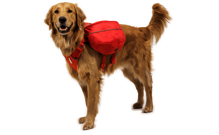 Ruffwear Palisades Pack Red Currant Ruffwear