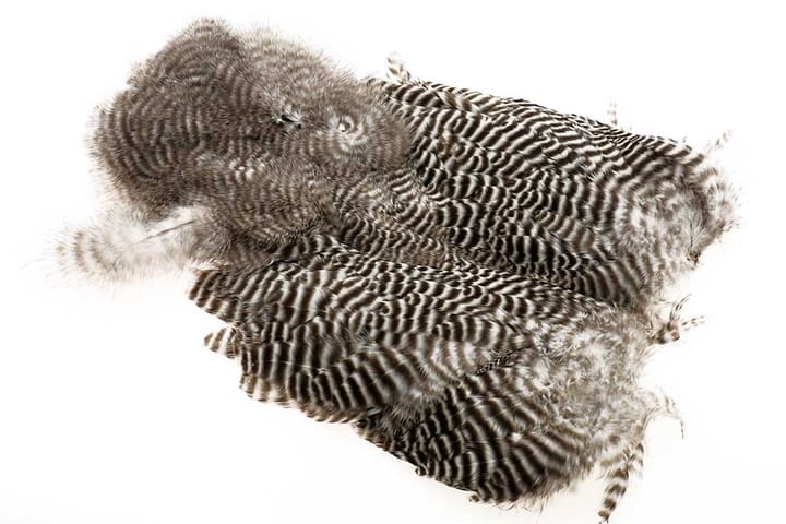 Ewing Hackles Ewing #1 Grizzly Body Marabou Patch Ewing Hackles Ewing Hackles Ewing #1 Grizzly Body Marabou Patch Ewing Hackles