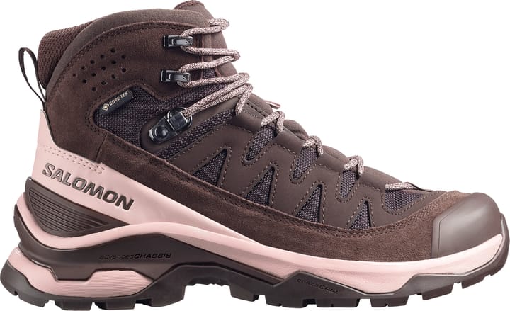 Salomon Women's Quest Echo GORE-TEX Black Coffee / Shadow Gray / Black Salomon
