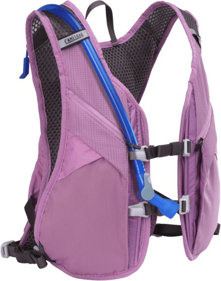 CamelBak Women's Chase Race 4 Vest Lavendar CamelBak