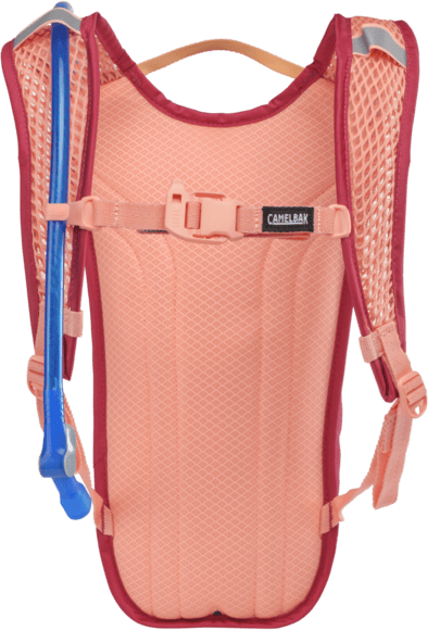 CamelBak Mini M.U.L.E. Berry CamelBak