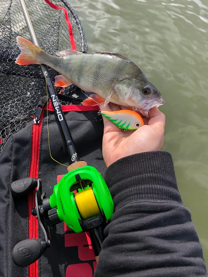 Rapala Rippin Rap Rapala