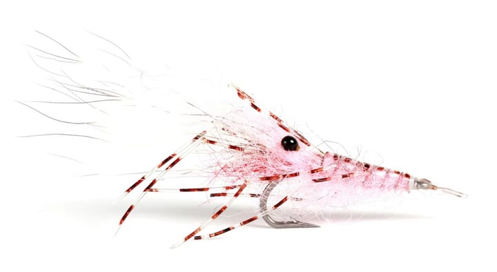 Umpqua Flies Leoshrimp Pink Umpqua Flies