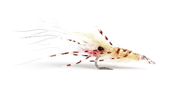 Umpqua Flies Leoshrimp Tan Umpqua Flies