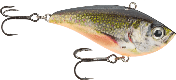 Prey Vibro Target Brook Trout Prey