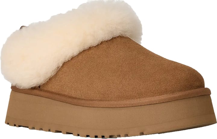 UGG Women's Tazzelle Chestnut UGG UGG Women's Tazzelle Chestnut UGG