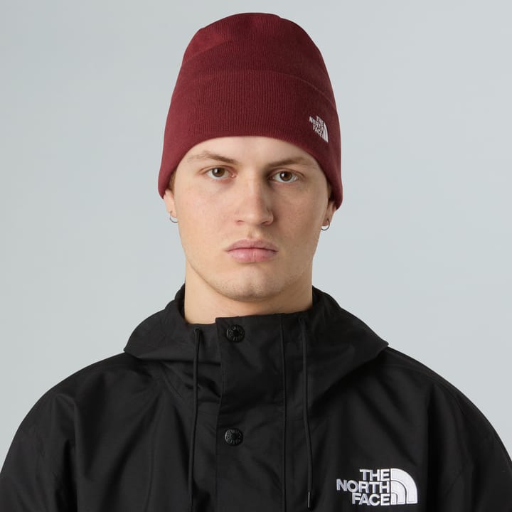 The North Face Norm Beanie Sumac The North Face
