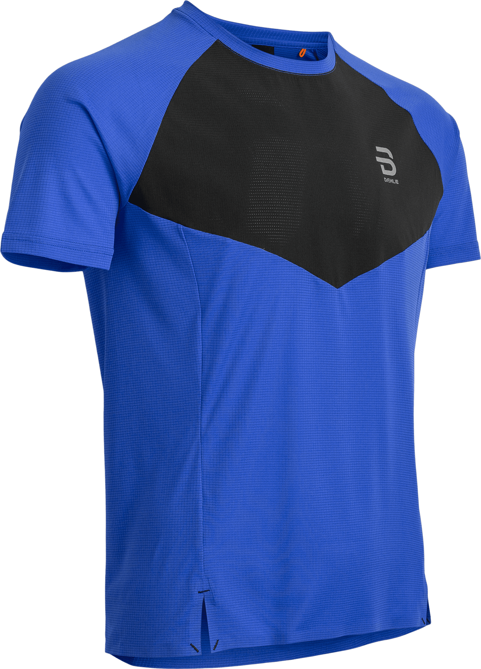 Dæhlie Men's T-Shirt Run 365 Future Blue