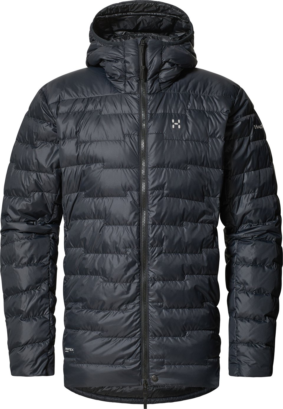Men's Roc Flash Down Hood