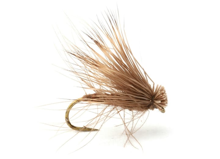 Guideline Cdc Elk Caddis Guideline