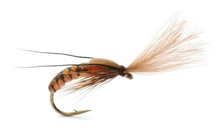 Umpqua Flies Super Emerging Caddis Cinnamon Umpqua Flies