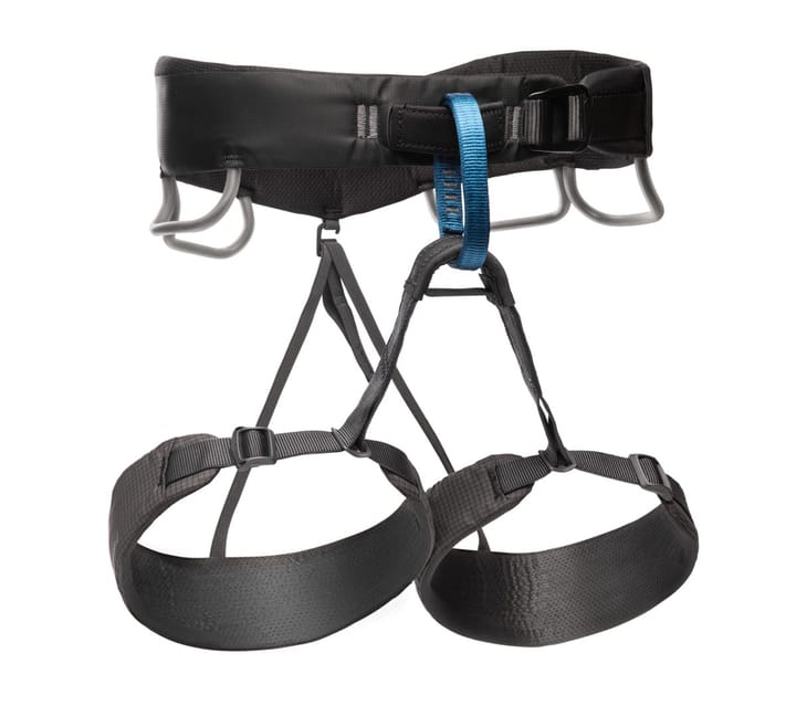 Black Diamond Momentum Harness - M's Anthracite Black Diamond