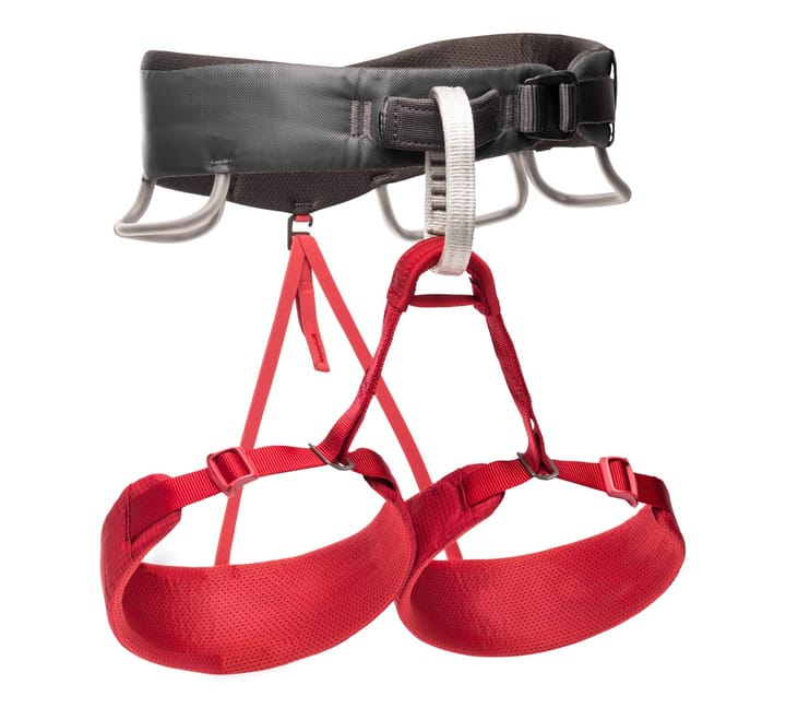 Black Diamond Momentum Harness - W's Wild Rose Black Diamond Black Diamond Momentum Harness - W's Wild Rose Black Diamond