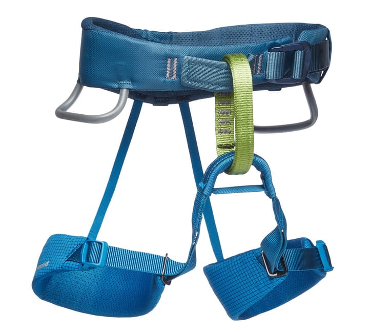 Black Diamond Momentum Harness - Kids' Kingfisher Black Diamond