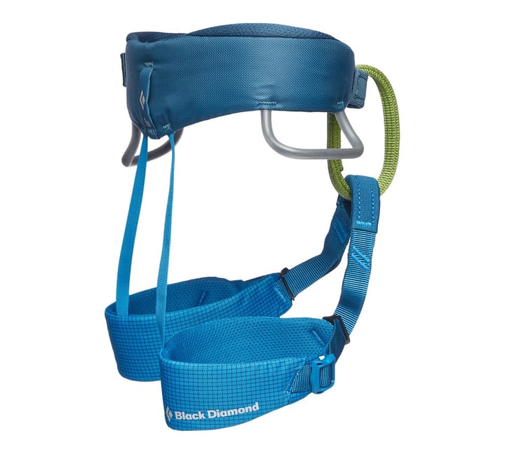 Black Diamond Momentum Harness - Kids' Kingfisher Black Diamond