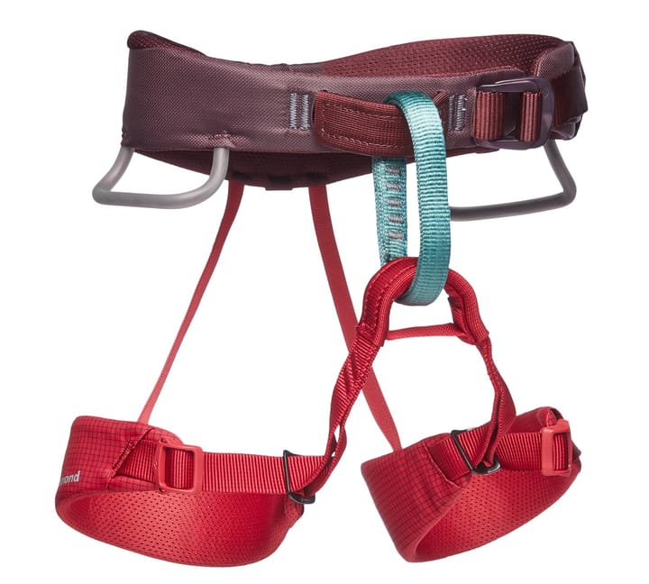 Black Diamond Kids' Momentum Harness Wild Rose Black Diamond