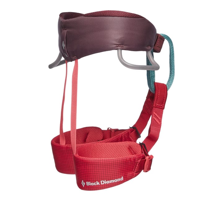 Black Diamond Kids' Momentum Harness Wild Rose Black Diamond