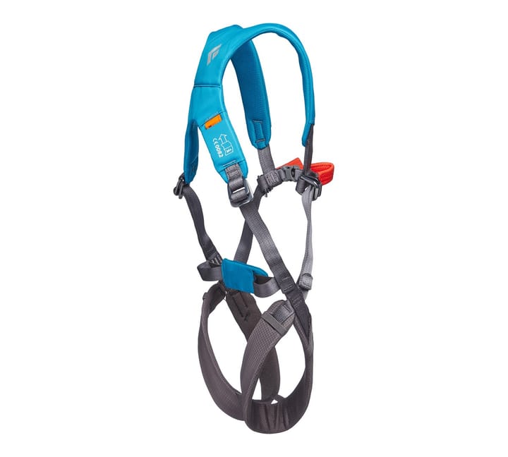 Black Diamond Momentum Harness - Kids' FL Body Azul Black Diamond