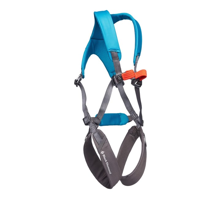 Black Diamond Momentum Harness - Kids' FL Body Azul Black Diamond