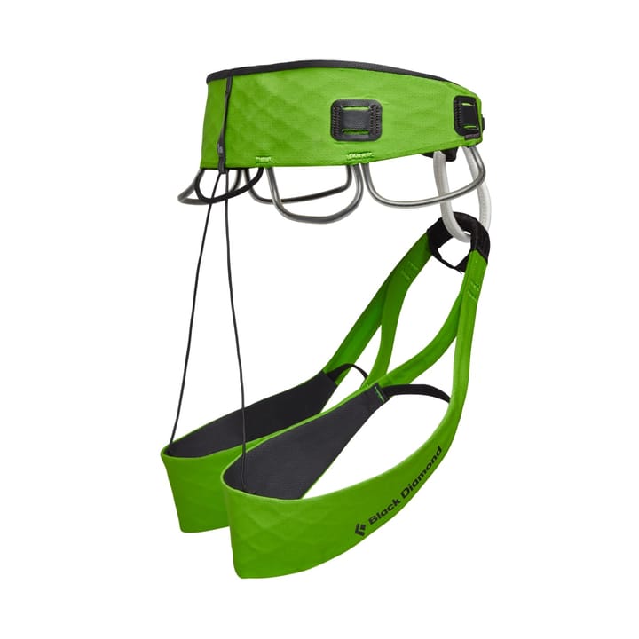 Black Diamond Recco Vision Airnet Harness Envy Green Black Diamond