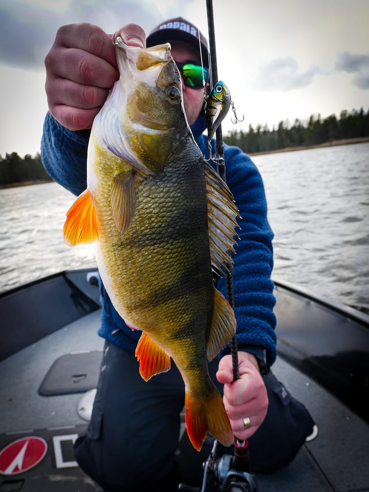 Rapala Rippin Rap Rapala