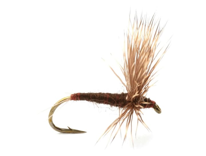 Umpqua Flies Comparadun Lepto Umpqua Flies