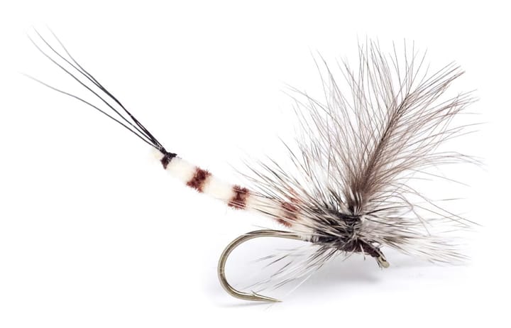 Umpqua Flies Gl Danica Dun Umpqua Flies