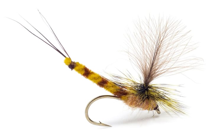 Umpqua Flies Gl Vulgata Dun Umpqua Flies