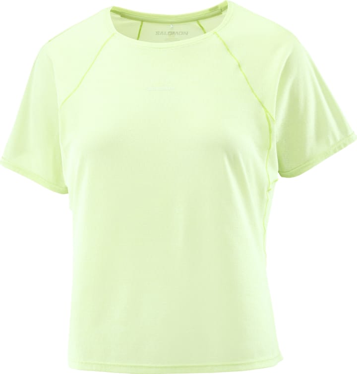 Salomon Women's Shakeout Air Cropped Tee Butterfly/ Salomon