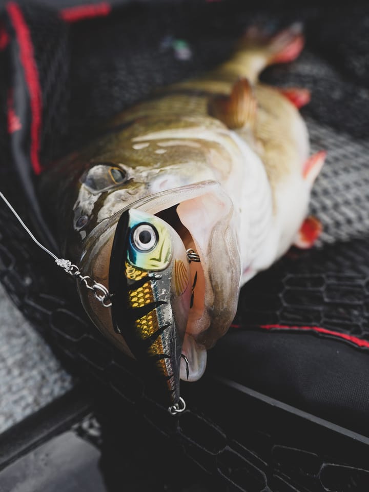 Rapala Rippin Rap Rapala
