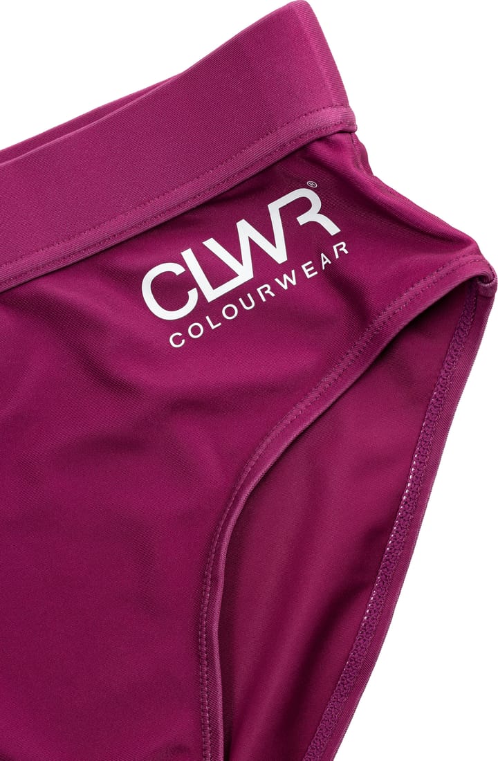 ColourWear Women's High Waist Bikini Bottom Purple ColourWear