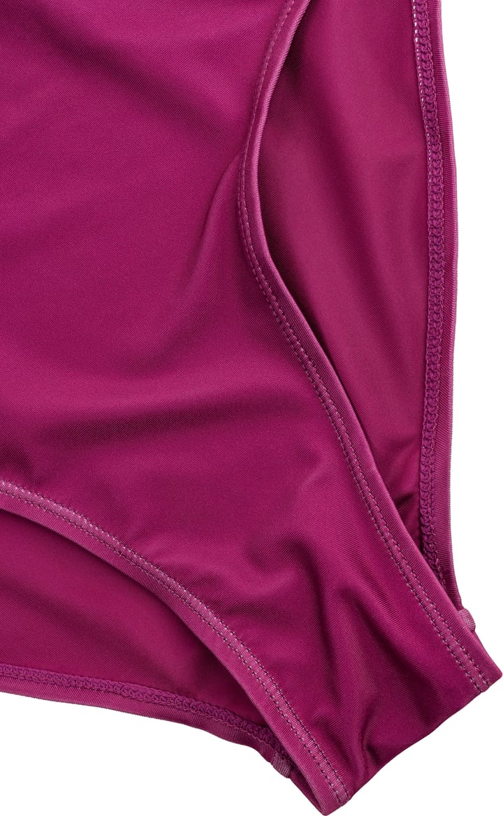 ColourWear Women's High Waist Bikini Bottom Purple ColourWear