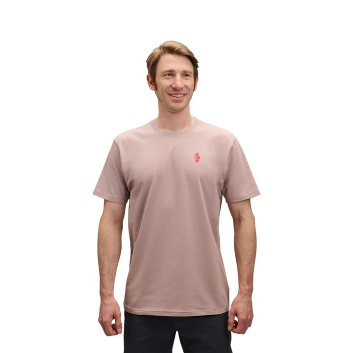 Black Diamond Men's BD Dragon Short Sleeve Tee Pale Mauve Black Diamond
