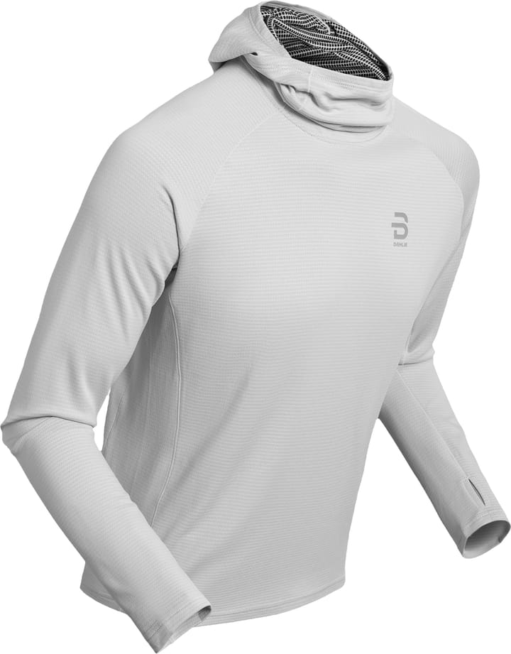 Dæhlie Men's Long Sleeve Run 365 Quiet Grey Dæhlie Dæhlie Men's Long Sleeve Run 365 Quiet Grey Dæhlie