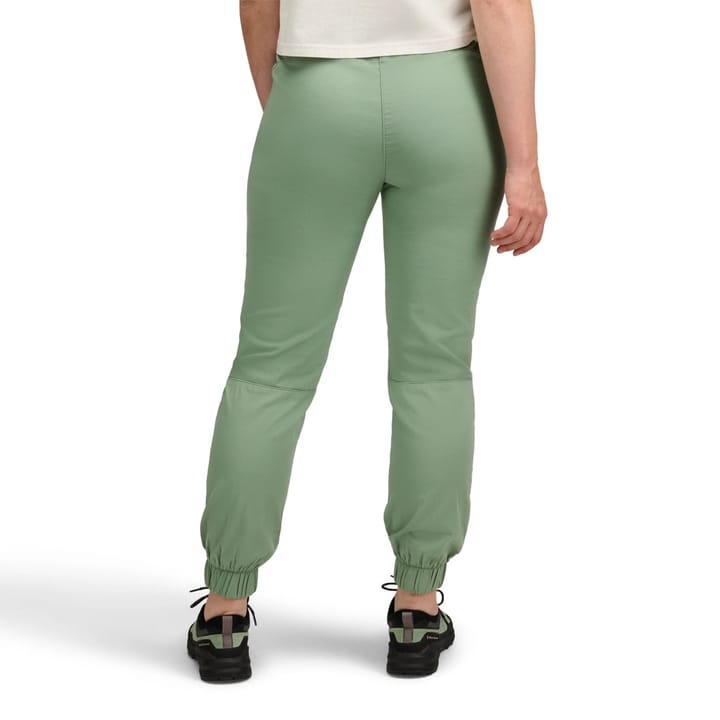 Black Diamond Women's Notion SP Pants Desert Sage Black Diamond