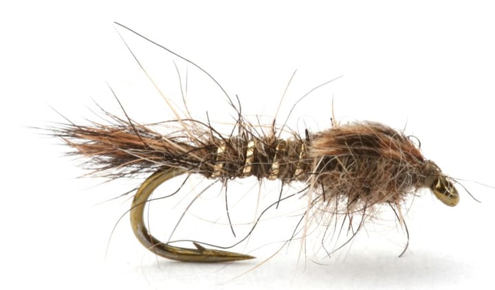 Umpqua Flies Hares Ear Gold Rib Umpqua Flies