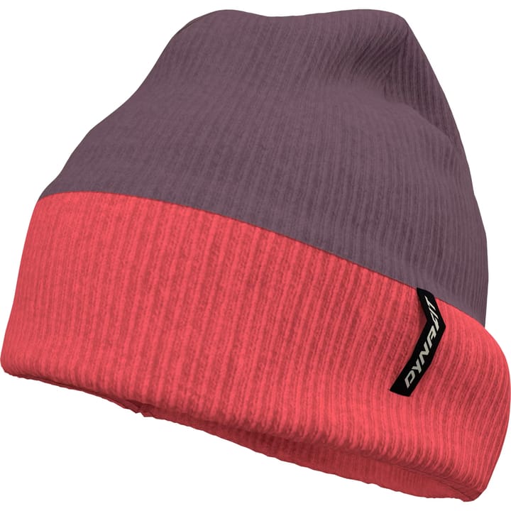 Dynafit Two-Tone Beanie Cabana/6a90 Dynafit