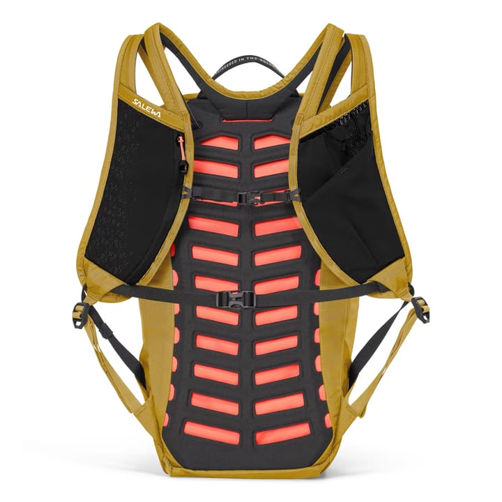 Salewa Pedroc Active 16l Olive Oil Salewa