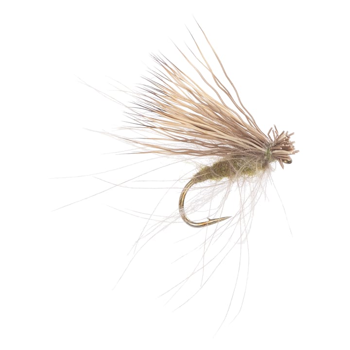 Arcticflies (Tørrflue) Cdc Elk Caddis Olive Arcticflies