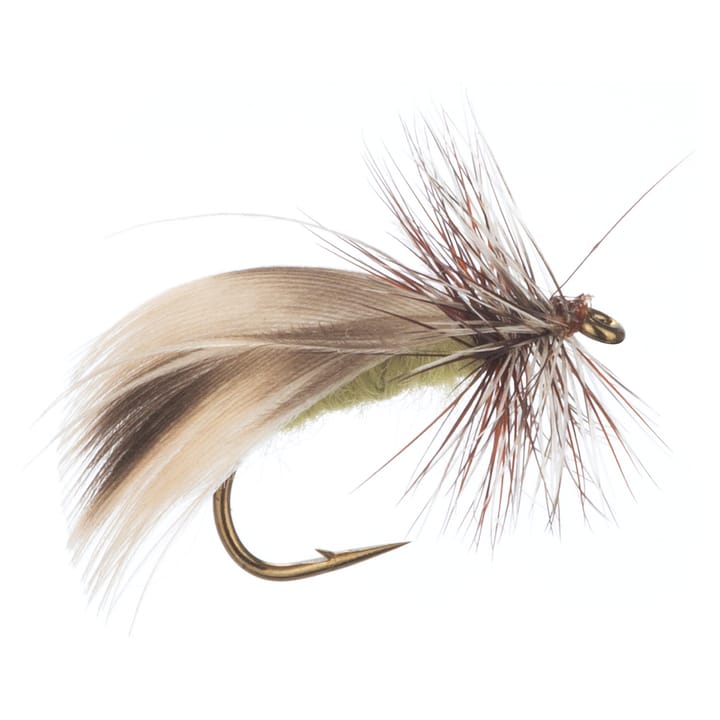 Arcticflies (Tørrflue) Europea 12 Arcticflies