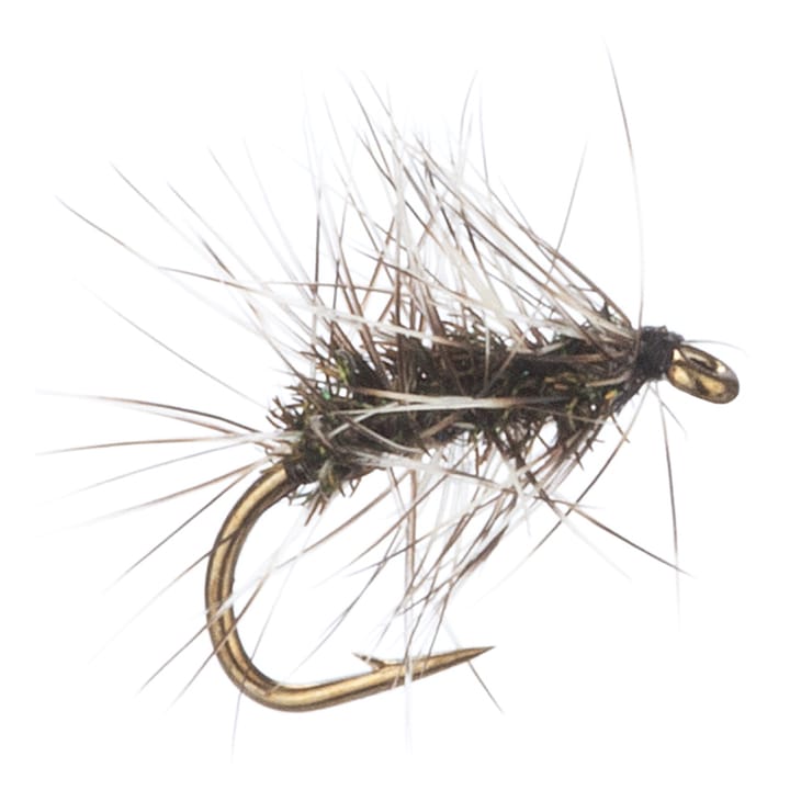 Arcticflies (Tørrflue) Griffith'S Gnat Arcticflies