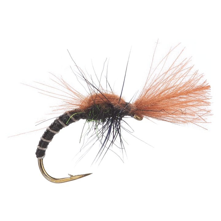 Arcticflies (Tørrflue) Spider Midge Genders Black Arcticflies