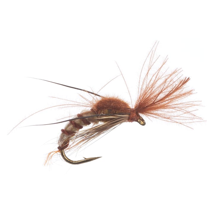 Arcticflies (Tørrflue) Super Emerging Caddis Brown Arcticflies